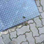 Nicolas M added a new photo