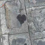 Nicolas M added a new photo