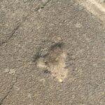 Nicolas M added a new photo