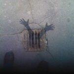 Nicolas M added a new photo